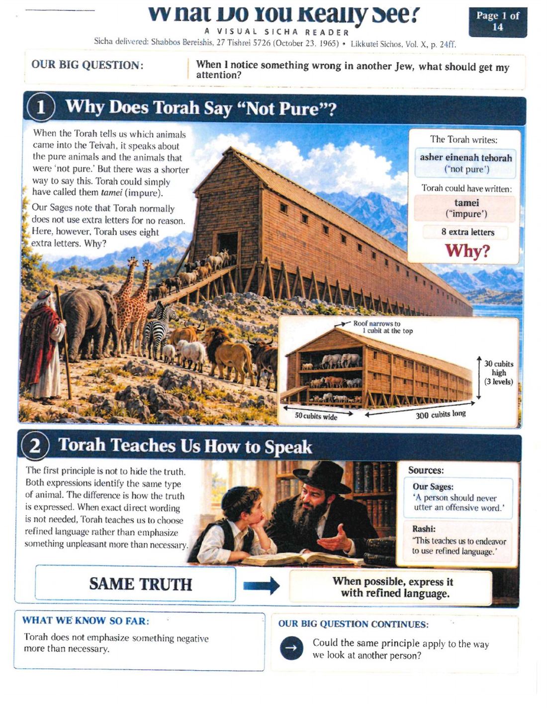 A page from What Do You Really See?, with its big question, numbered steps and summary boxes